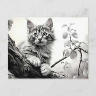 Carte Postale Cute chaton à jouer - Dessin noir et blanc