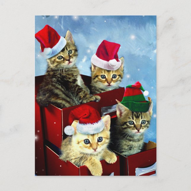 Carte Postale Cute chatons avec casquettes x-mas (Devant)