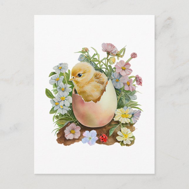 Carte Postale Cute Chicken in the Eggshell & Watercolor Flowers (Devant)