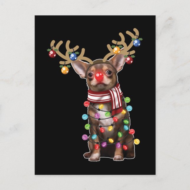 Carte Postale Cute Chihuahua Chien Drôle cadeaux de Noël (Devant)