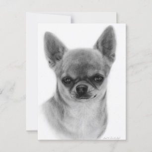 Carte Postale Cute Chihuahua Head Study Peinture à la main