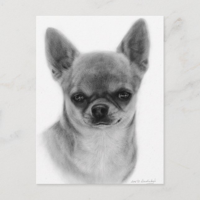 Carte Postale Cute Chihuahua Head Study Peinture à la main (Devant)
