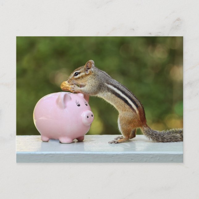Carte Postale Cute Chipmunk avec Funny Money Piggy Bank Photo (Devant)