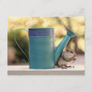 Carte Postale Cute Chipmunk et arrosage Can photo