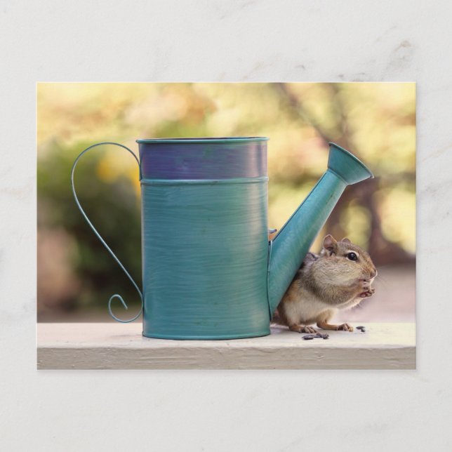 Carte Postale Cute Chipmunk et arrosage Can photo (Devant)