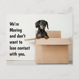 Carte Postale Cute Dachshund Changement d'adresse