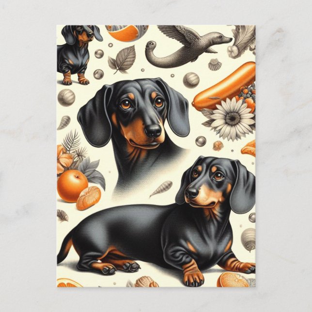 Carte Postale Cute Dachshund Motif (Devant)