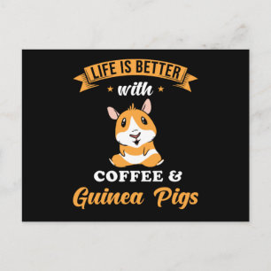 Carte Postale Cute de porc de Guinée