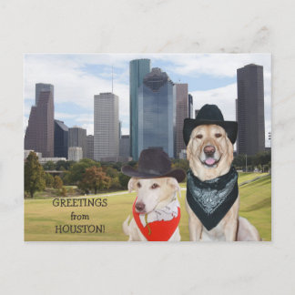 Carte Postale Cute Dogs