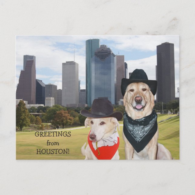 Carte Postale Cute Dogs (Devant)