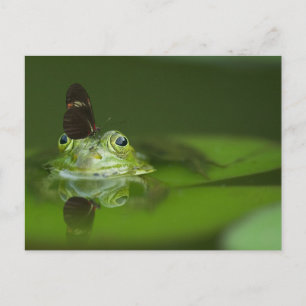 Carte Postale Cute frog