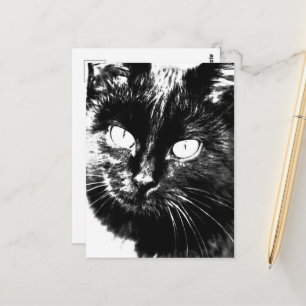 Carte Postale Cute Funky Chat Noir Kitten Eyes croquis