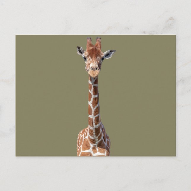 Carte Postale Cute giraffe face (Devant)