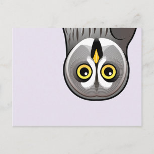 Carte Postale Cute Great Grey Owl