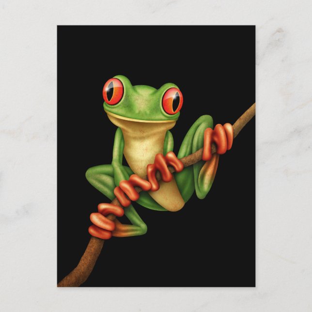 Carte Postale Cute Green Tree Frog on a Branch on Black (Devant)