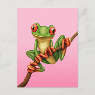 Carte Postale Cute grenouille verte sur une branche sur rose