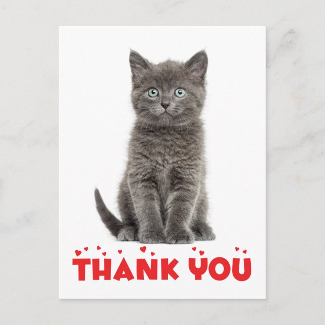 Carte postale Cute Gris Kitten Merci chat (Devant)