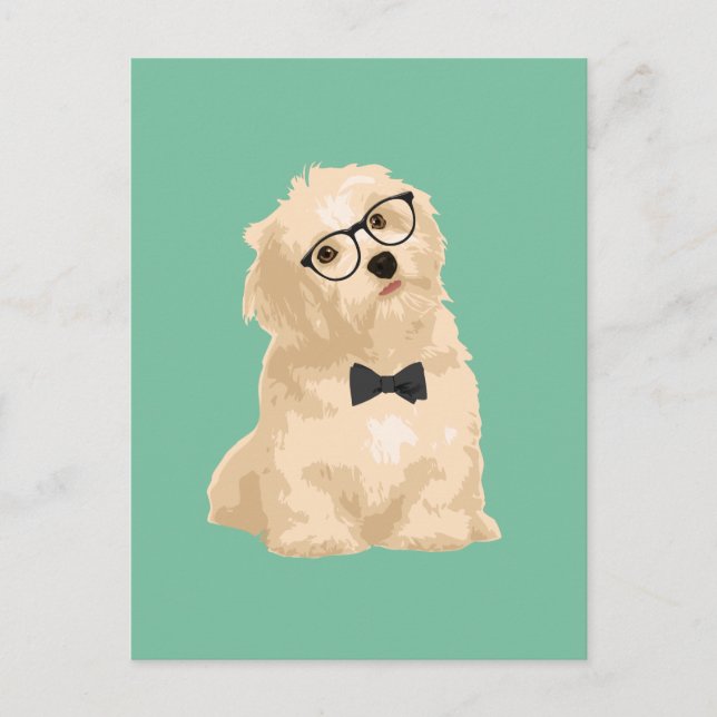 Carte Postale Cute Hipster Reddish Havanais Chiot pour Amoureux  (Devant)