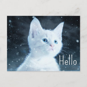 Carte Postale Cute Kitten blanc avec de beaux yeux bleus Bonjour