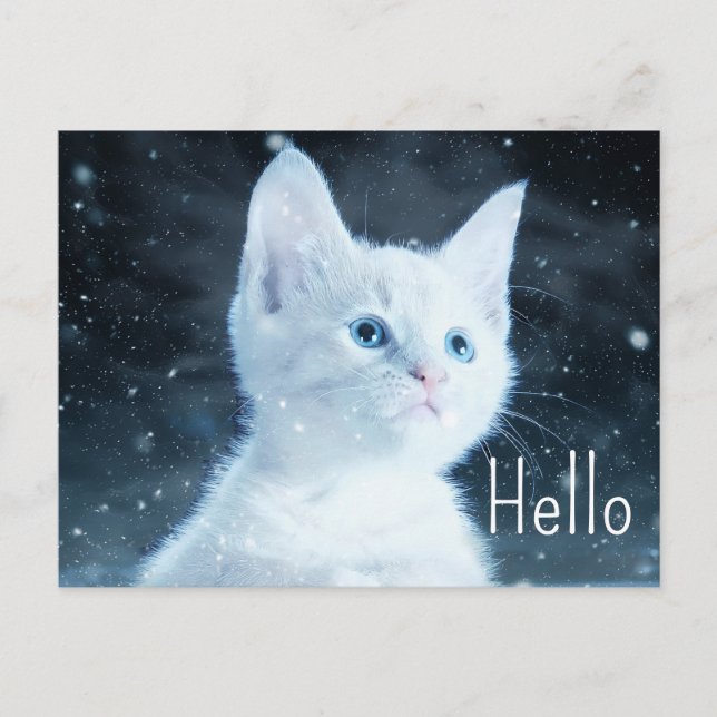 Carte Postale Cute Kitten blanc avec de beaux yeux bleus Bonjour (Devant)