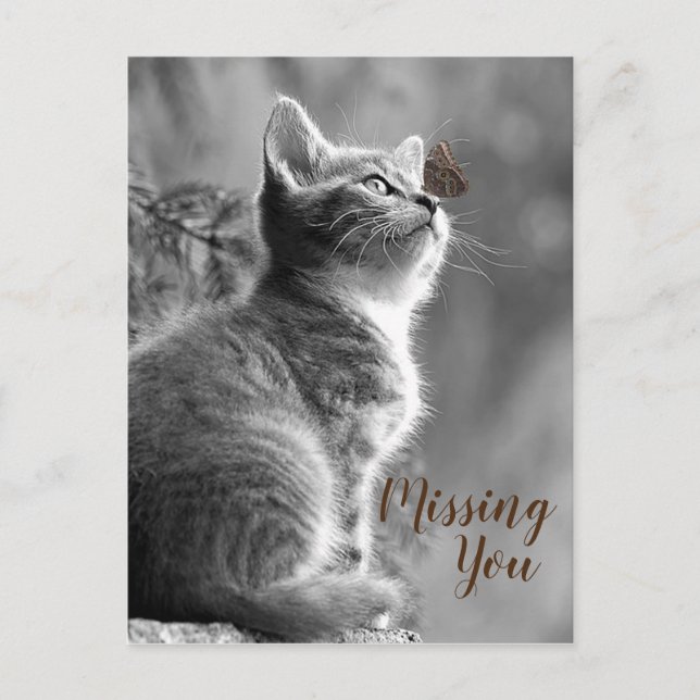 Carte Postale Cute Kitten et Butterfly (Devant)