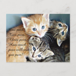 Carte Postale Cute Kittens