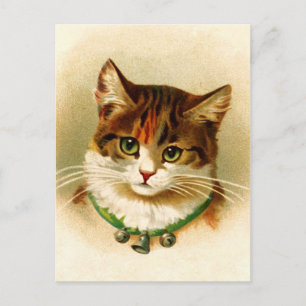 Carte Postale Cute kitty avec col de cloche