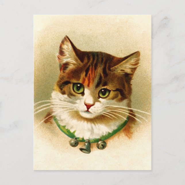 Carte Postale Cute kitty avec col de cloche (Devant)