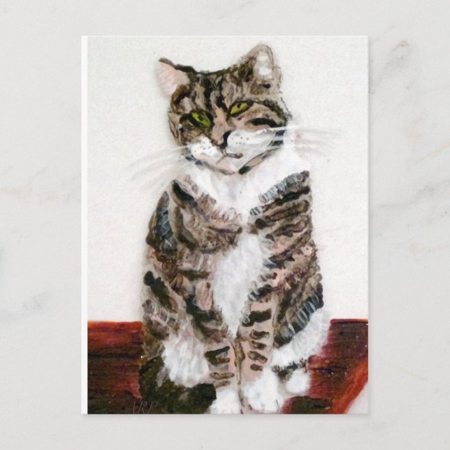 Carte Postale Cute Kitty Portrait pour animaux Tabby Chat (Devant)