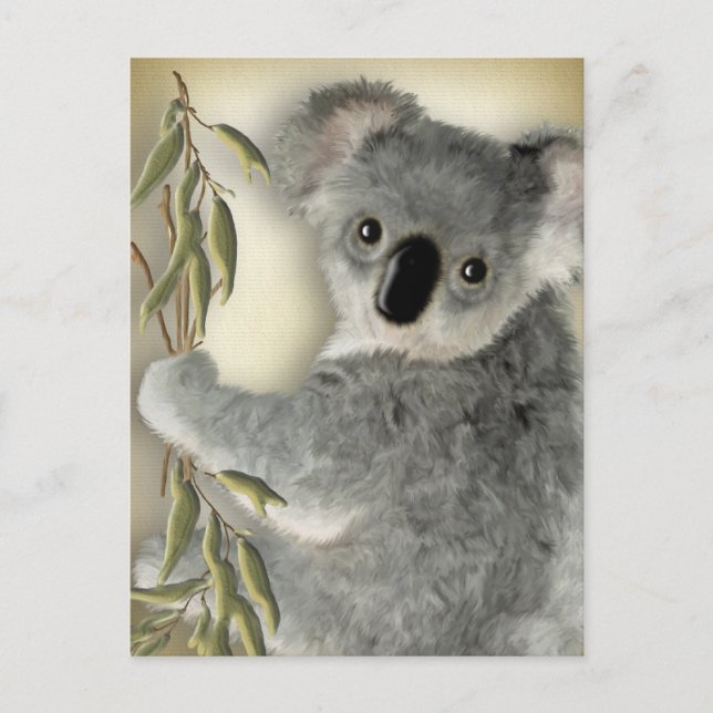 Carte Postale Cute Koala (Devant)