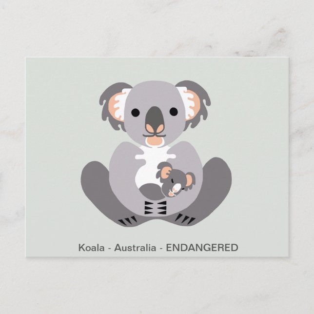 Carte Postale Cute KOALA - Marsupial - Animal en voie de dispari (Devant)