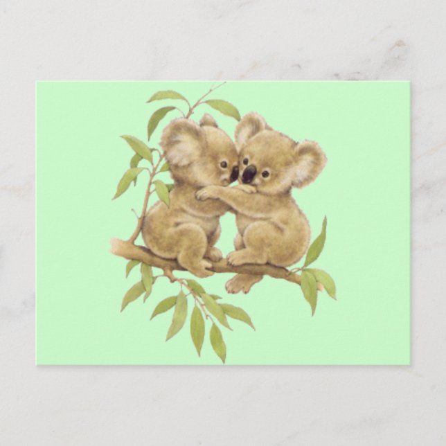 Carte Postale Cute Koalas (Devant)