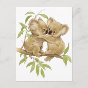 Carte Postale Cute Koalas