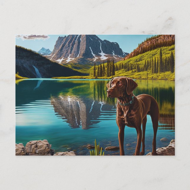 Carte Postale Cute Lab Chien Chocolat Labrador Retriever Animal (Devant)