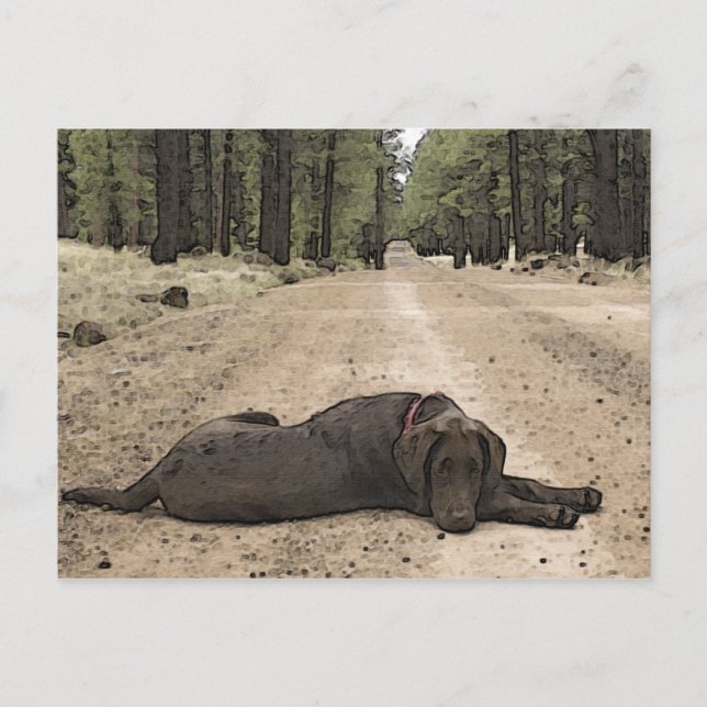 Carte Postale Cute Laboratoire De Chocolat Sur Un Chemin De Forê (Devant)