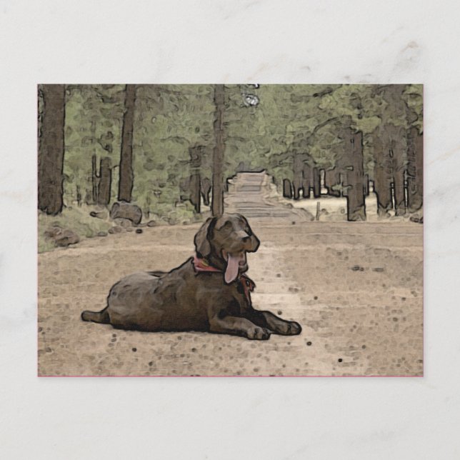 Carte Postale Cute Laboratoire De Chocolat Sur Un Chemin De Forê (Devant)