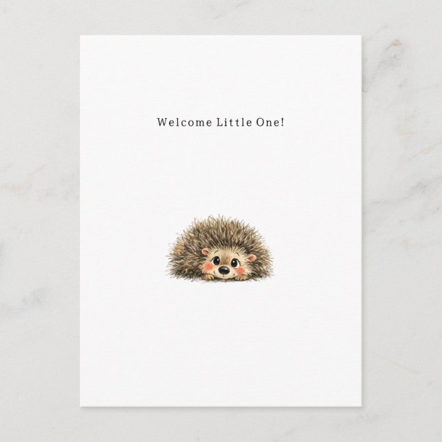 Carte Postale Cute Little Hedgehog New Baby Card. (Devant)