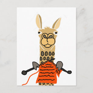 Carte Postale Cute Llama Knitting Cartoon
