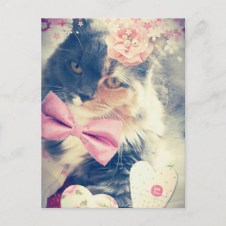 Carte Postale Cute Maine Coon Kitten Style Rétro