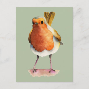 Carte Postale Cute Orange Robin Oiseau Aquarelle Art