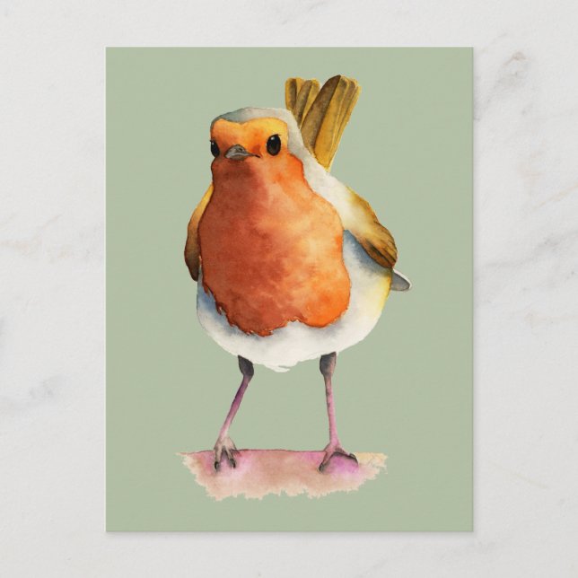 Carte Postale Cute Orange Robin Oiseau Aquarelle Art (Devant)