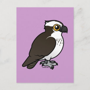 Carte Postale Cute Osprey