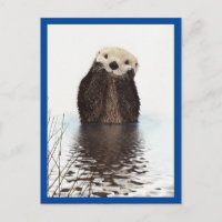 Cute Otter Bleu animal