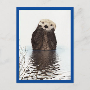 Carte Postale Cute Otter Bleu animal