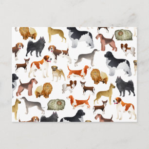 Carte Postale Cute Pedigree Papier peint pour chien animal de co