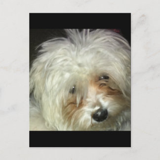 Carte Postale Cute Petit Casper