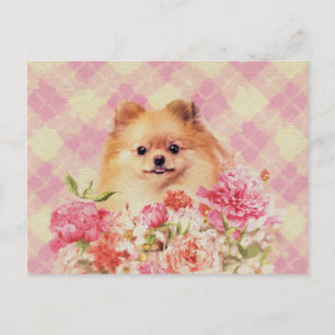 Carte Postale Cute Poméranian German Spitz with Flowers