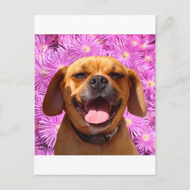 Carte Postale Cute Puggle (Devant)