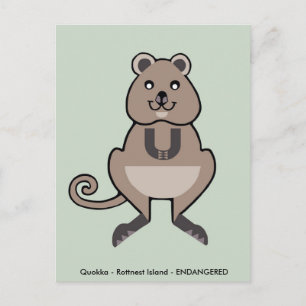 Carte Postale Cute QUOKKA - Faune - Marsupial - Australie