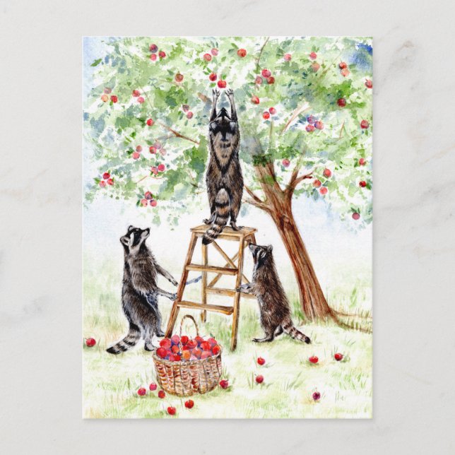 Carte Postale Cute Raccoons dans Apple Orchard (Devant)